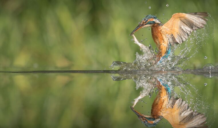 Immagine dell'evento: Finanza, imprese e istituzioni: nature strategy e uso sostenibile dell'acqua